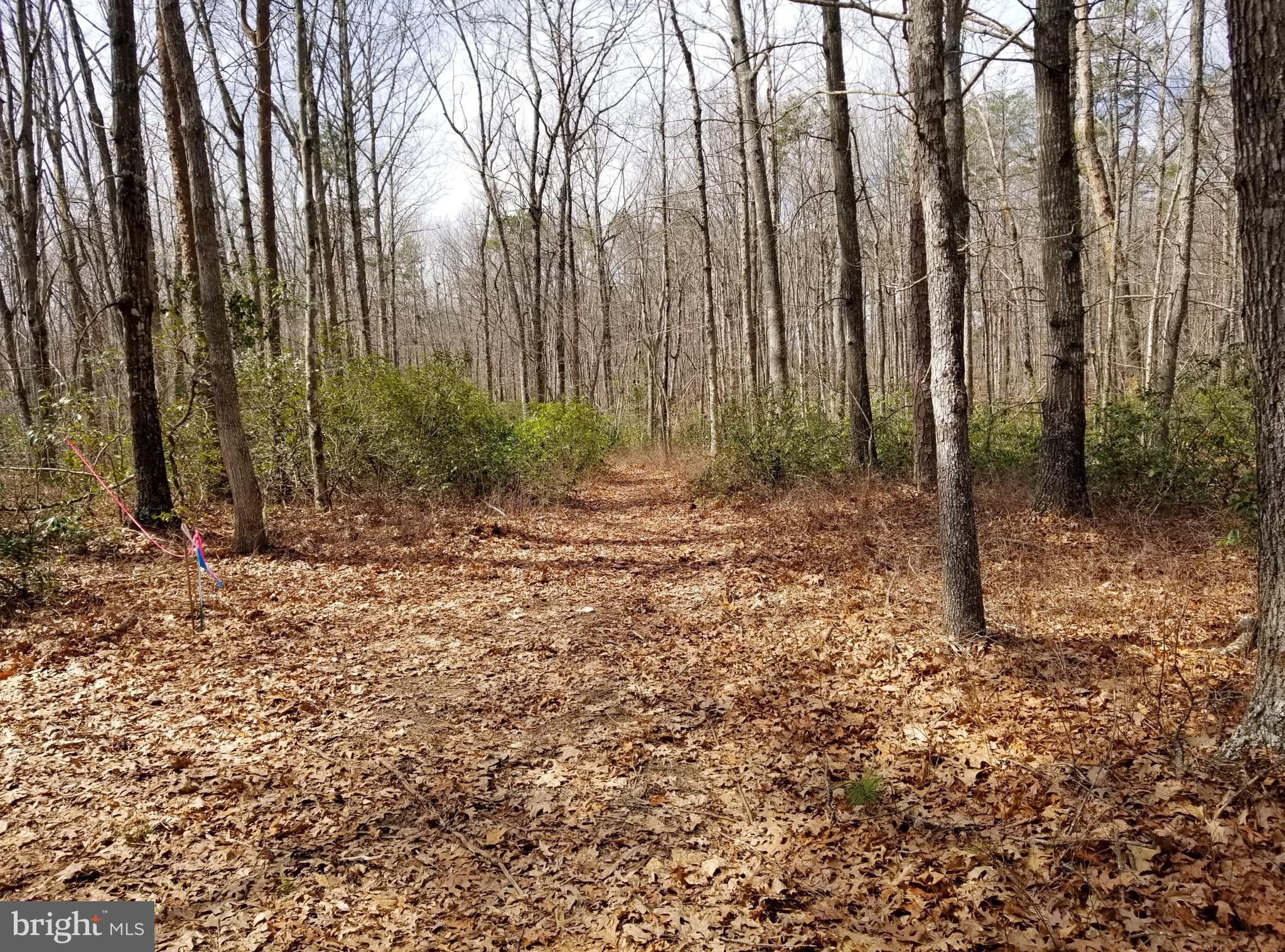 Independence Road Orange, VA 22960 - Photo 1 of 9 Two Lots Totaling 18.9 Acres!