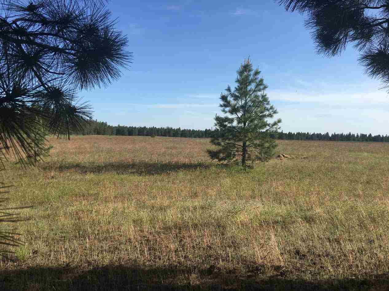 0 West Montgomery Road Clayton, WA 99110 - Photo 1 of 5