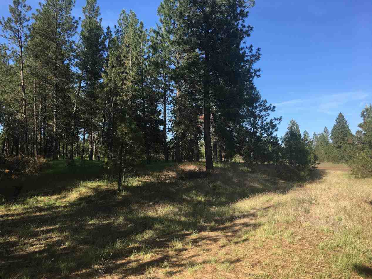 0 West Montgomery Road Clayton, WA 99110 - Photo 2 of 5