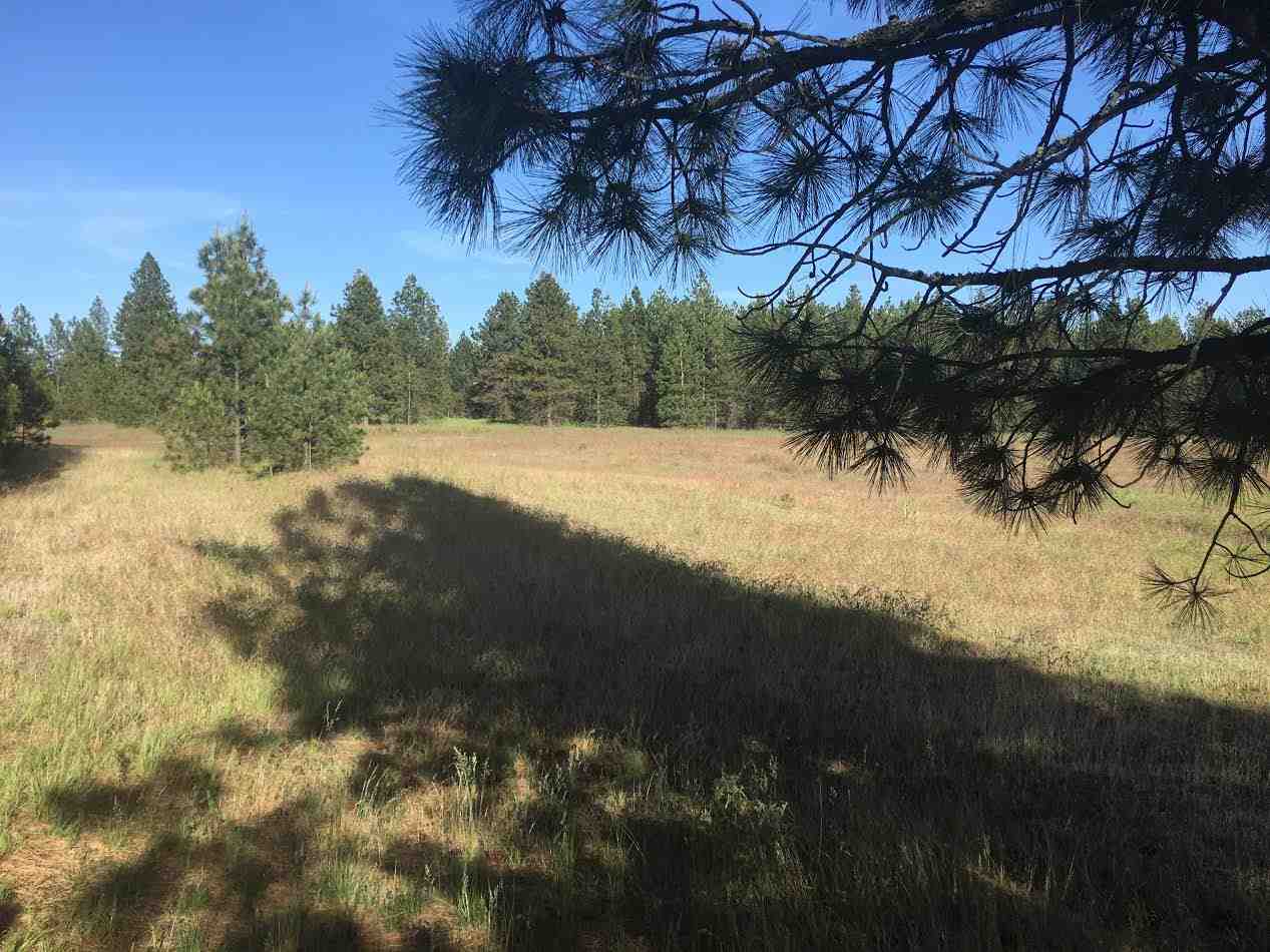 0 West Montgomery Road Clayton, WA 99110 - Photo 3 of 5