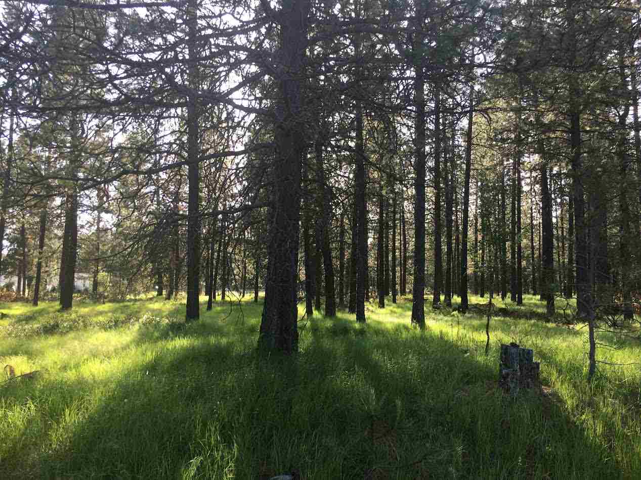 0 West Montgomery Road Clayton, WA 99110 - Photo 4 of 5