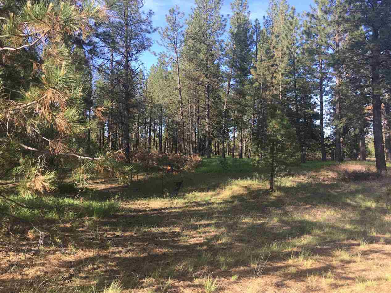 0 West Montgomery Road Clayton, WA 99110 - Photo 5 of 5
