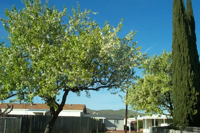 $249,000 | 102 Royal Oak Court, Fairfield, CA 94533