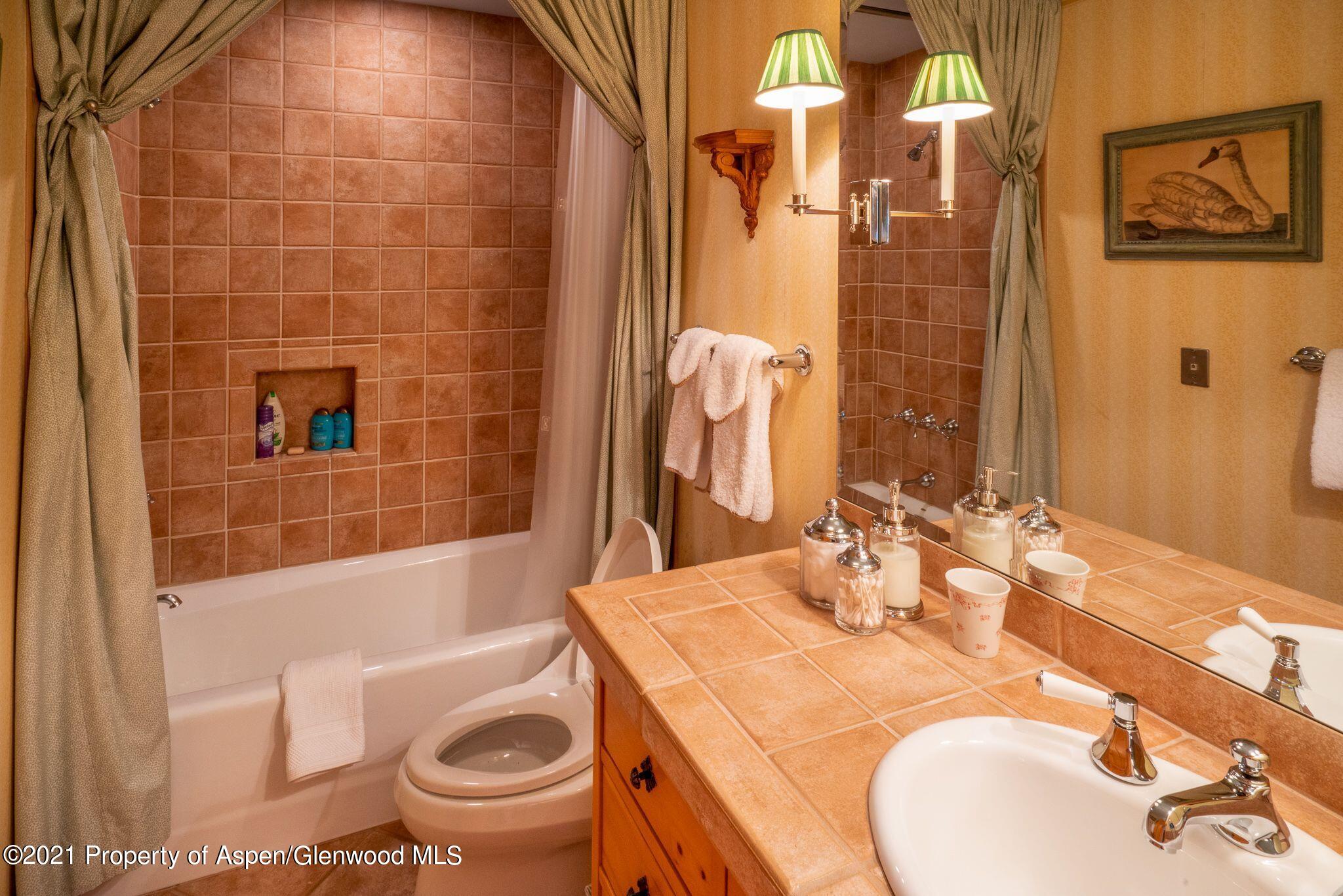 2137 Red Mountain Road Aspen, CO 81612 - Photo 46 of 59 a bathroom with a sink a toilet and shower