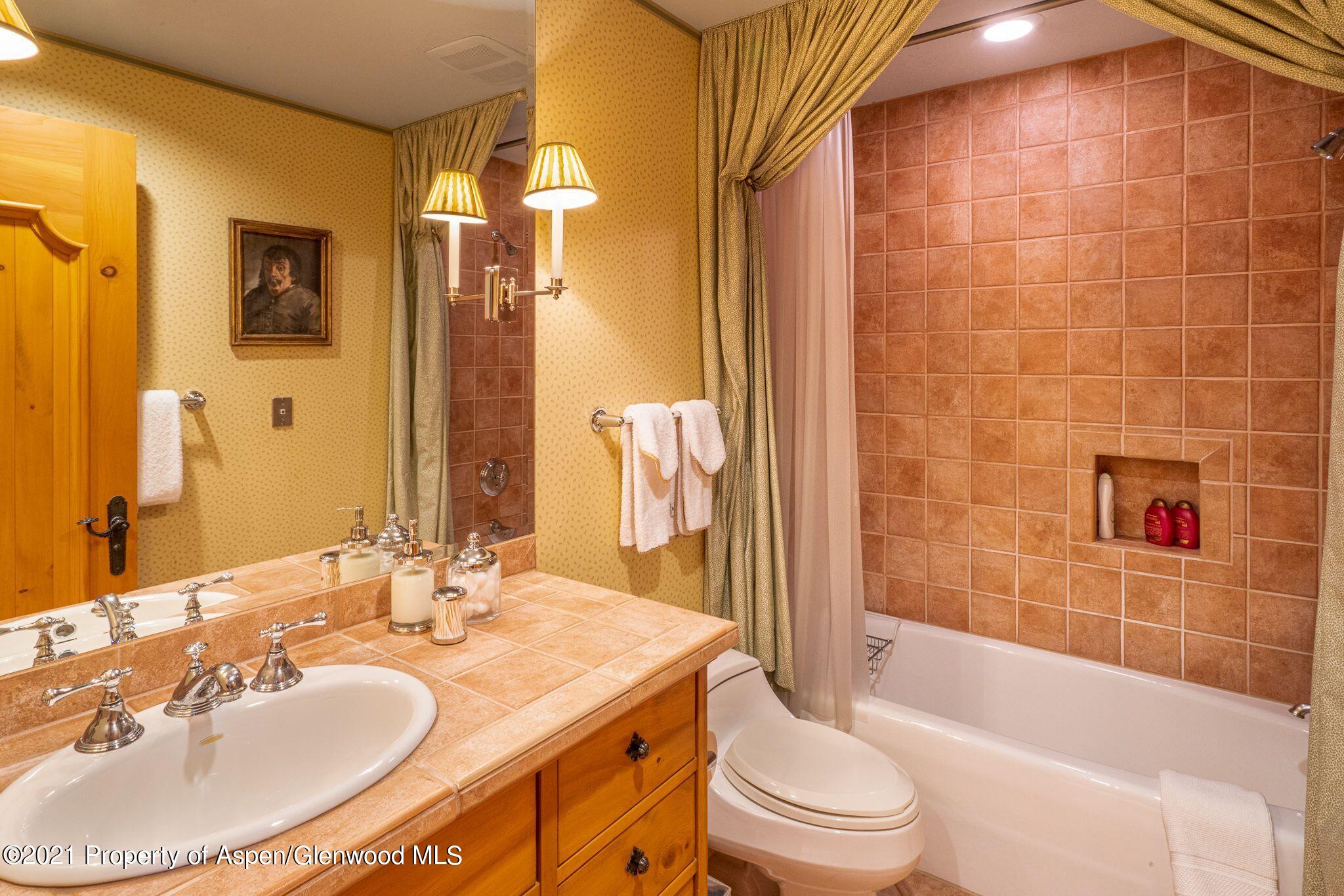 2137 Red Mountain Road Aspen, CO 81612 - Photo 48 of 59 a bathroom with a sink toilet and shower