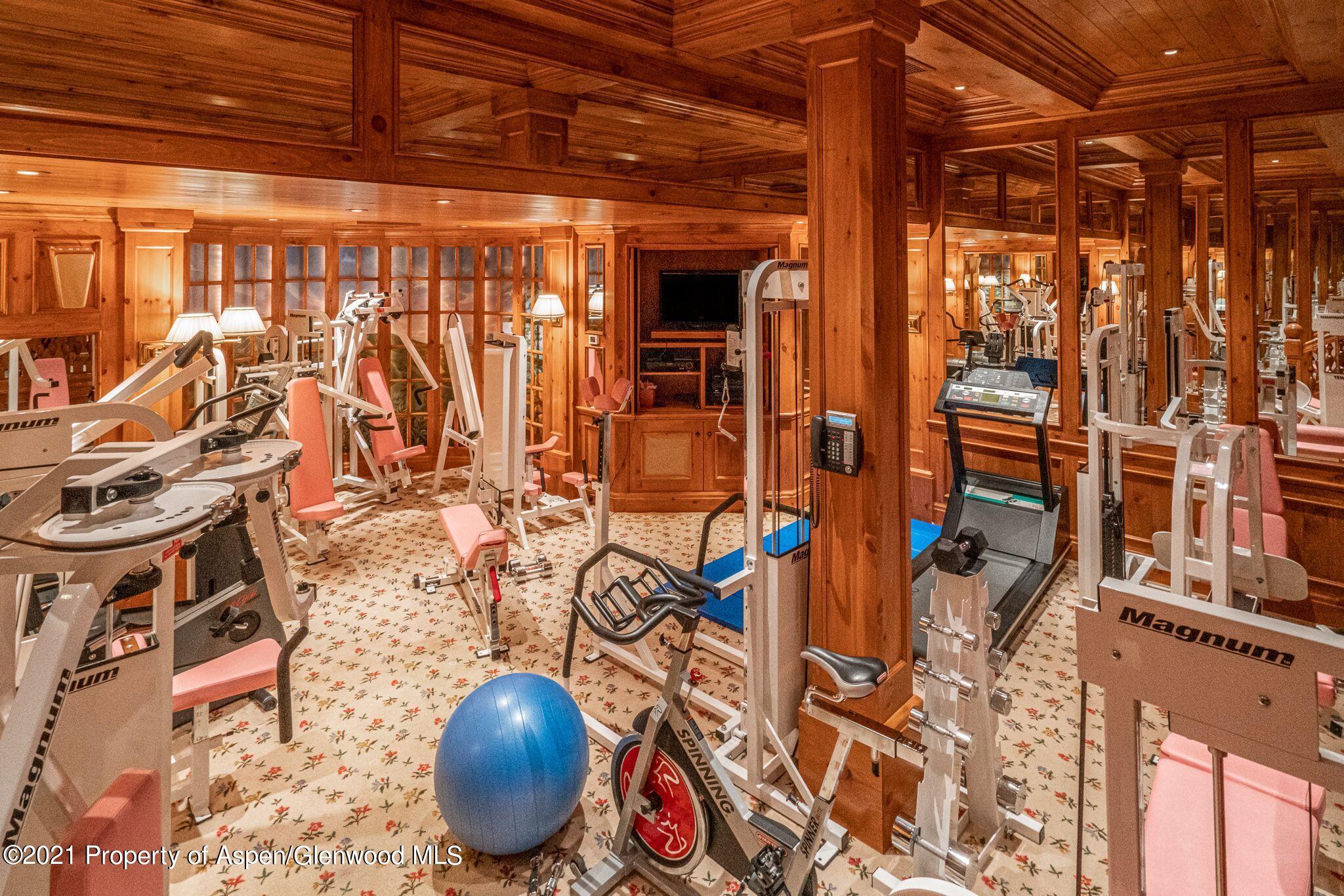 2137 Red Mountain Road Aspen, CO 81612 - Photo 51 of 59 Gym