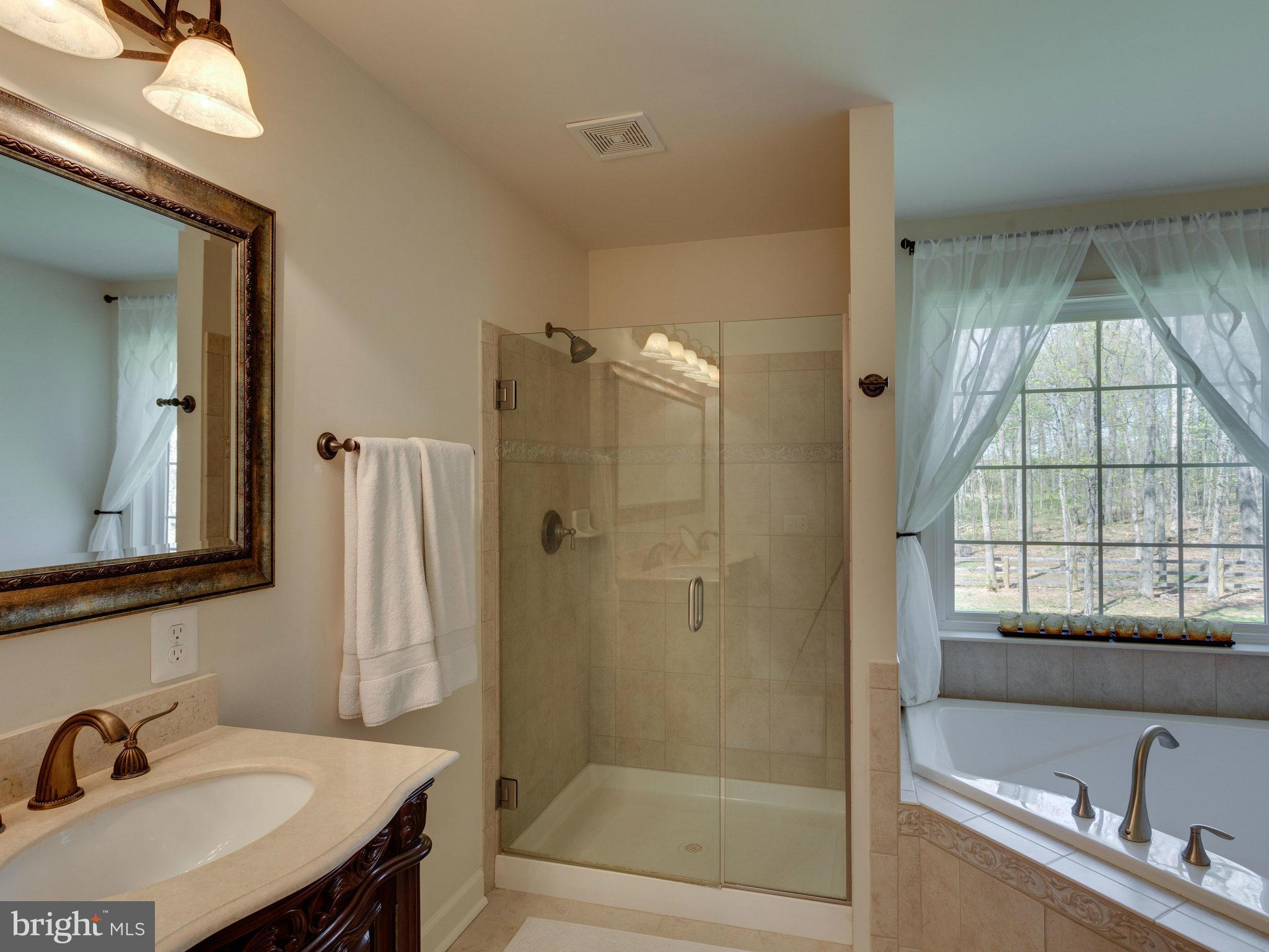 11300 Morgan Ridge Road Nokesville, VA 20181 - Photo 20 of 30 Frameless Shower Enclosure and Separate Spa Tub