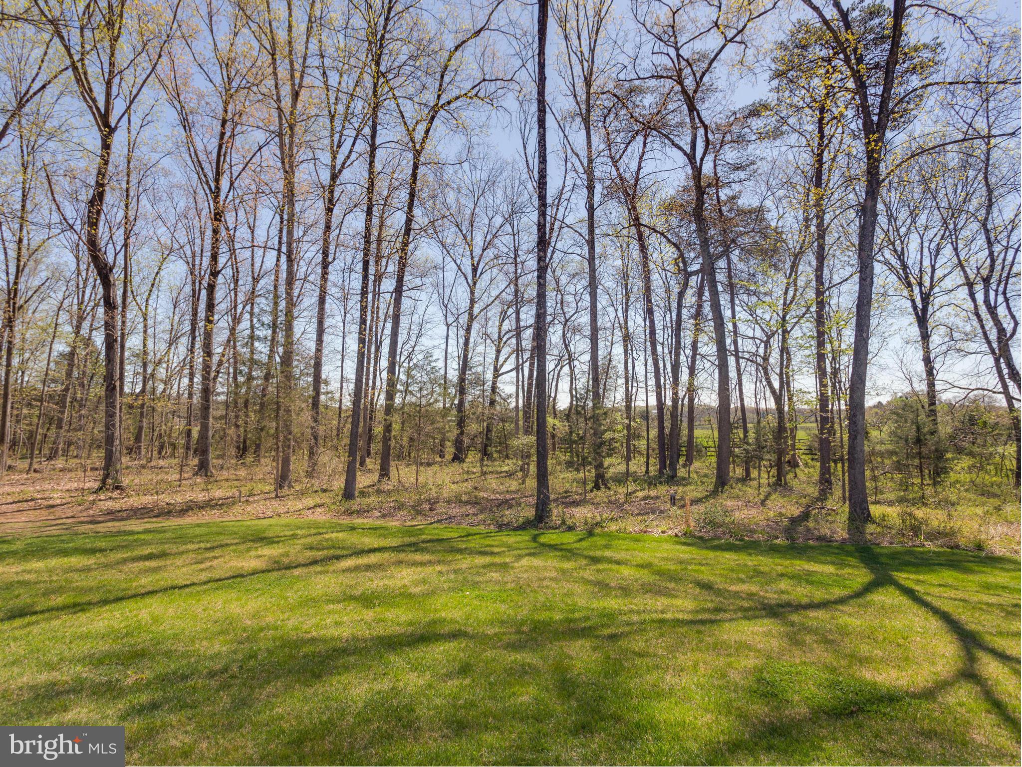 11300 Morgan Ridge Road Nokesville, VA 20181 - Photo 28 of 30 Residence Surrounded by Hardwood Trees