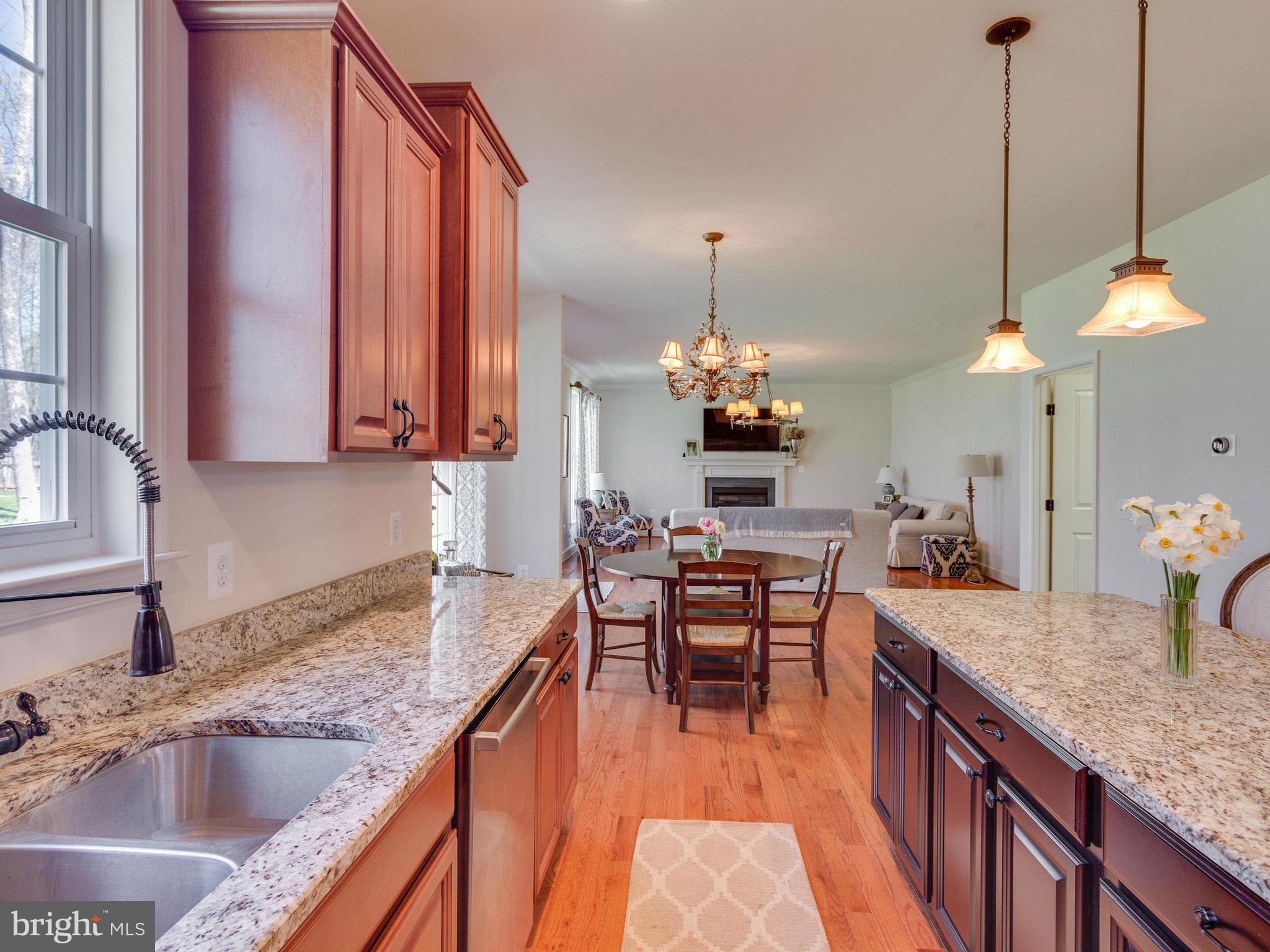 11300 Morgan Ridge Road Nokesville, VA 20181 - Photo 5 of 30 Custom Touches include Faucet