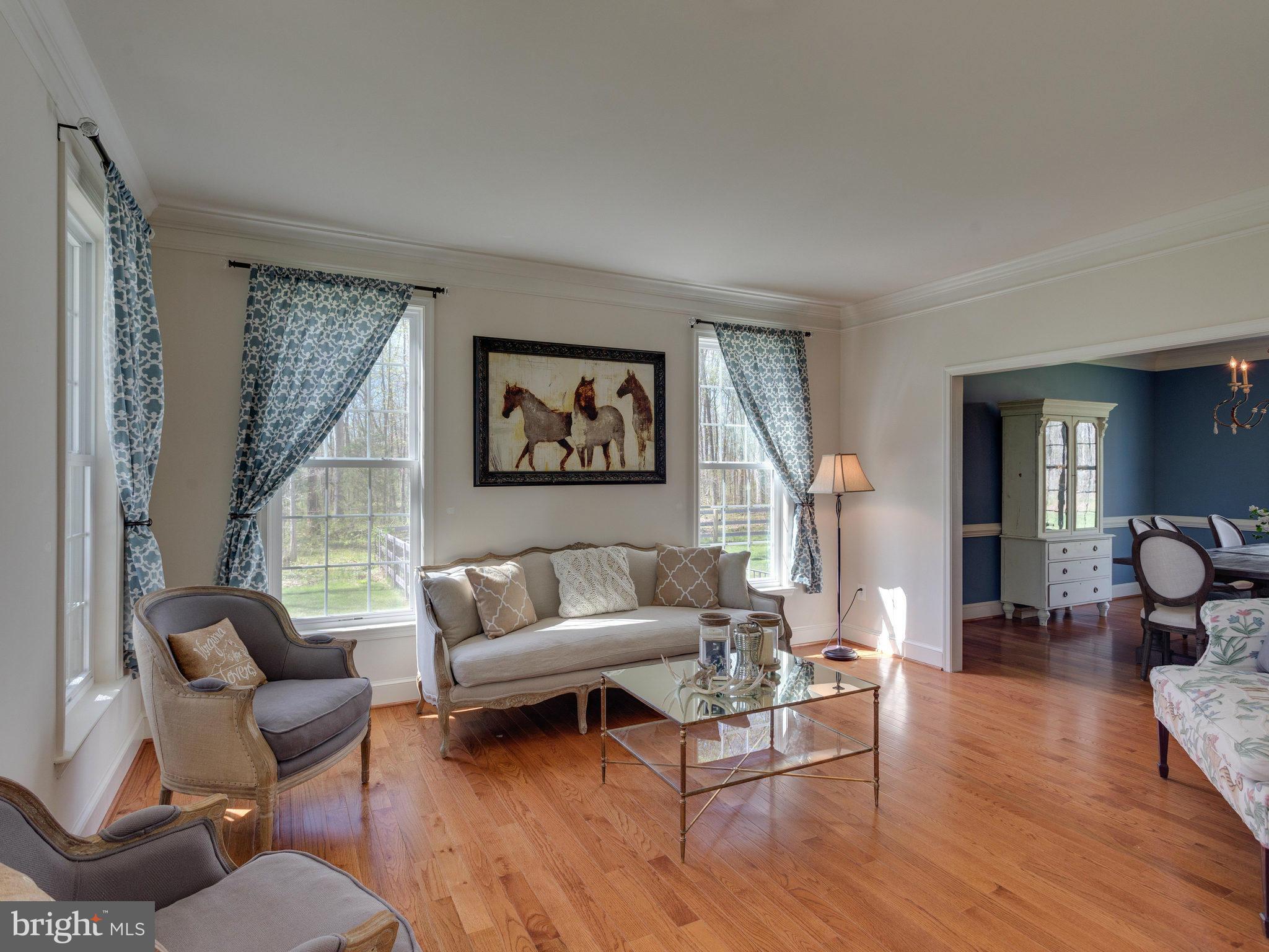 11300 Morgan Ridge Road Nokesville, VA 20181 - Photo 7 of 30 Living Room complete with Side Windows