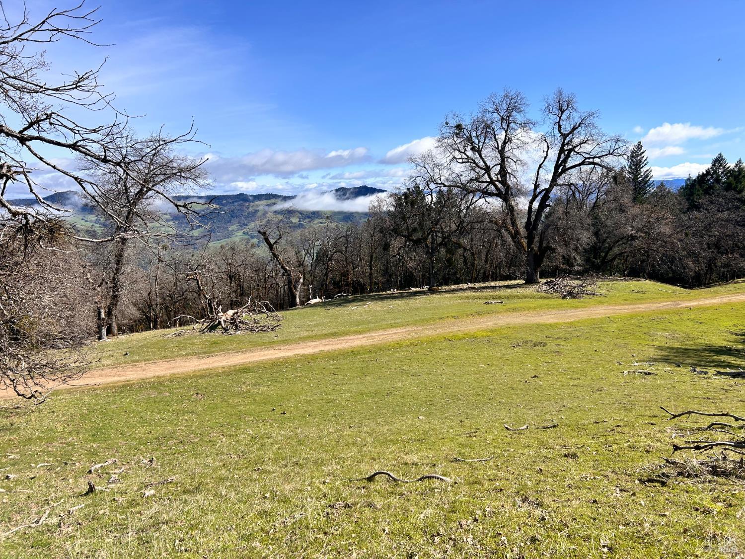 74000 Island Mountain Road Garberville, CA 95542 - Photo 16 of 36