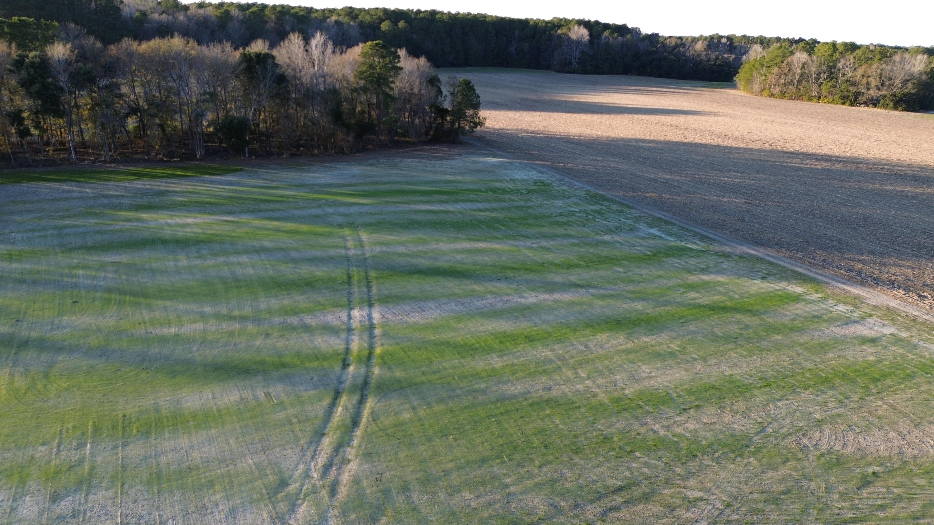 3 Highway 52 St. Stephen, SC 29479 - Photo 3 of 10 DJI_0386