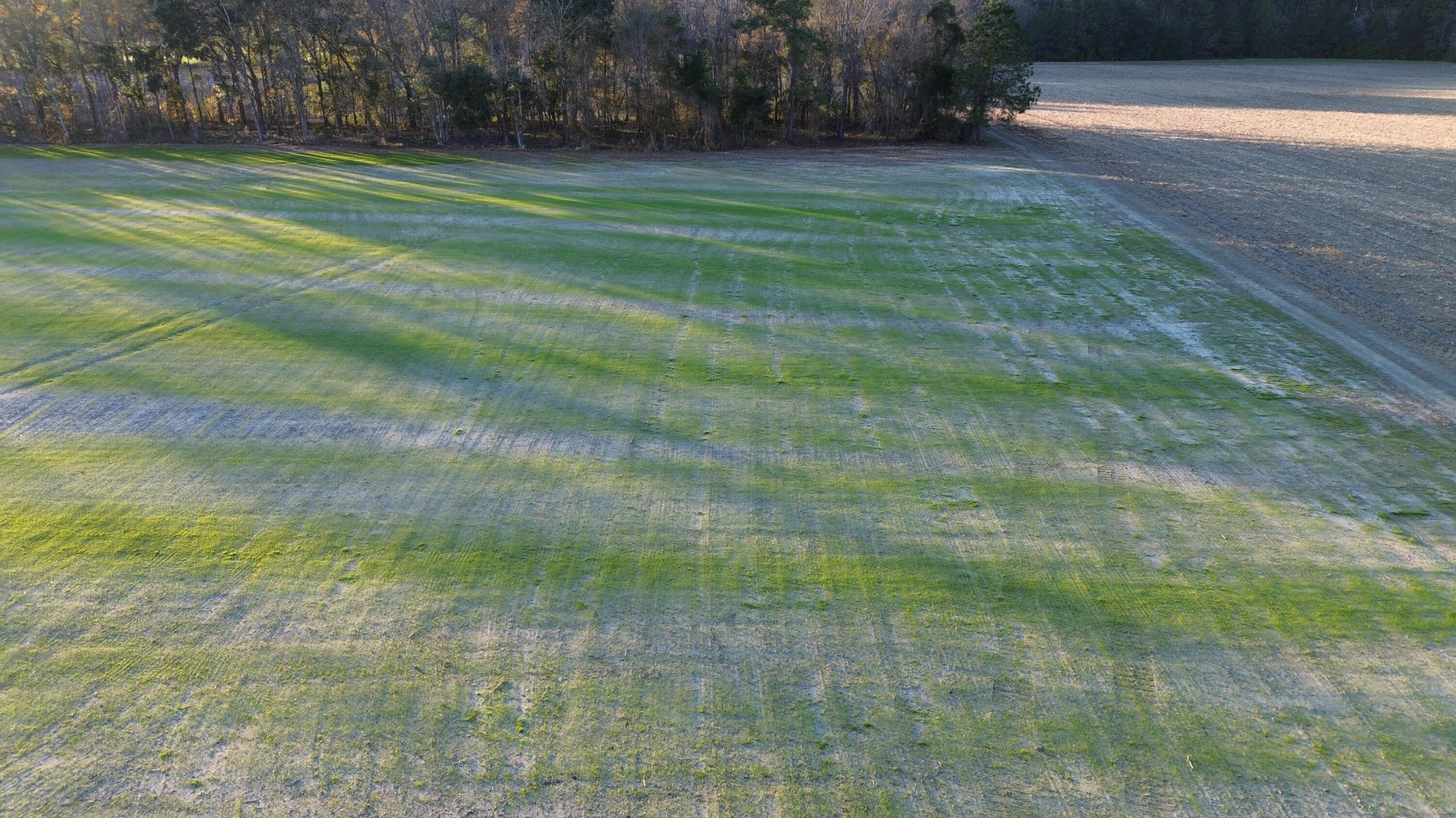 3 Highway 52 St. Stephen, SC 29479 - Photo 4 of 10 DJI_0387