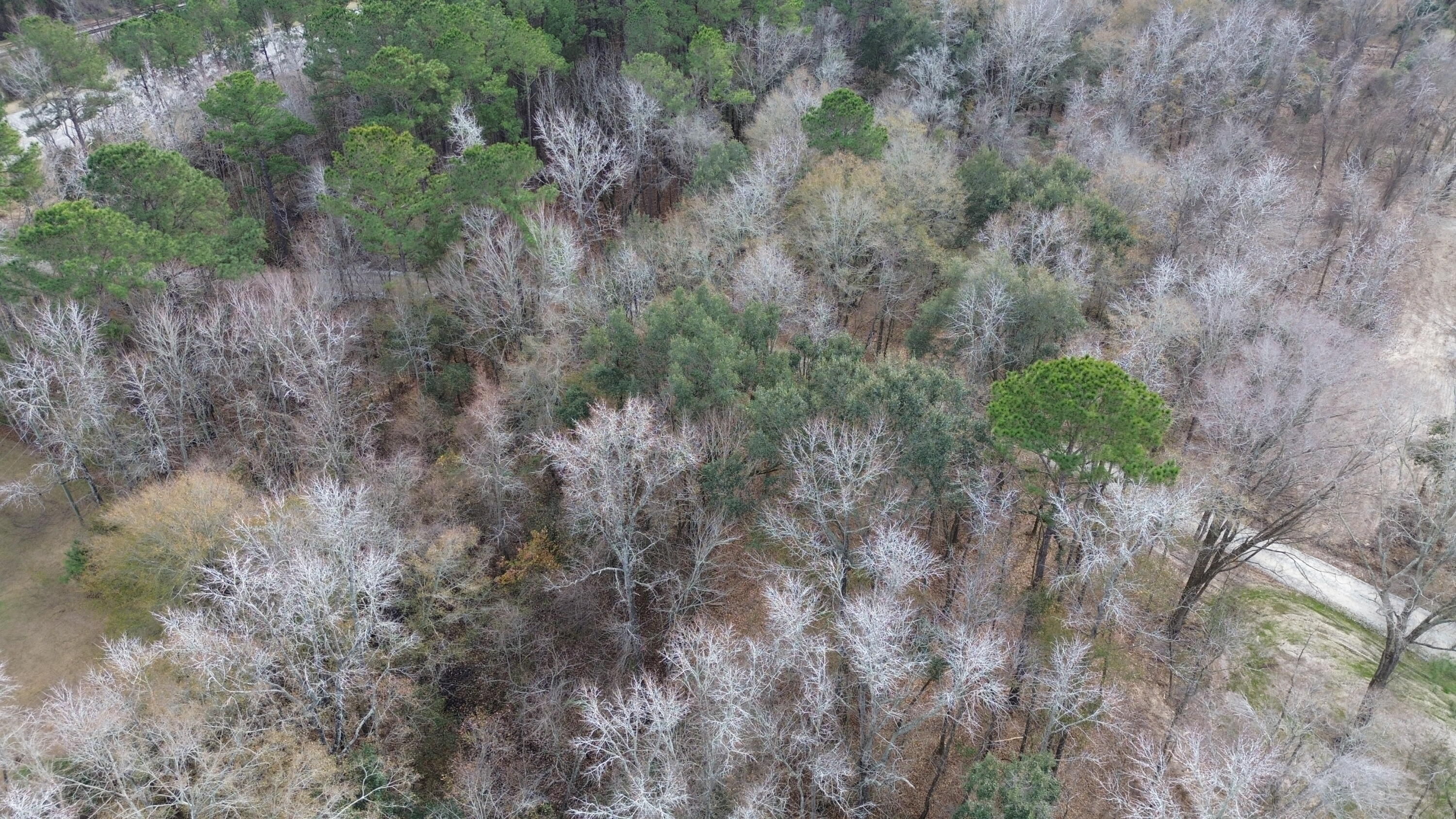 3 Highway 52 St. Stephen, SC 29479 - Photo 8 of 10 DJI_0449