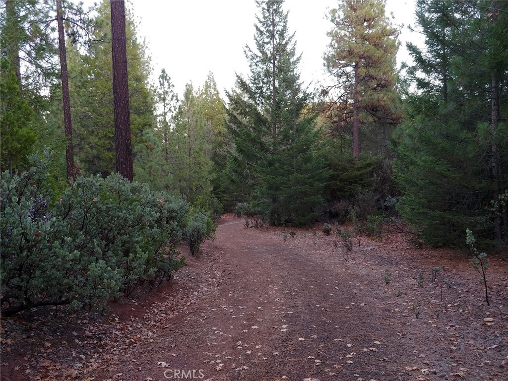 11254 Airstrip Road Middletown, CA 95461 - Photo 13 of 35