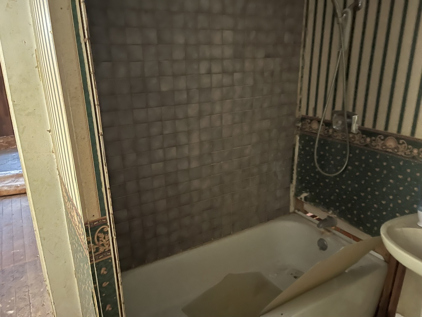 315 Butler Street Metropolis, IL 62960 - Photo 10 of 13 a bathroom with a tub and a shower