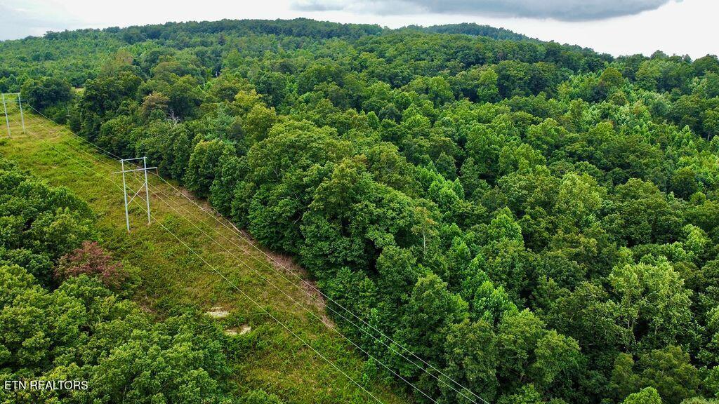 18.5-acres Raccoon Ridge Road Spring City, TN 37381 - Photo 27 of 37 17 racoon