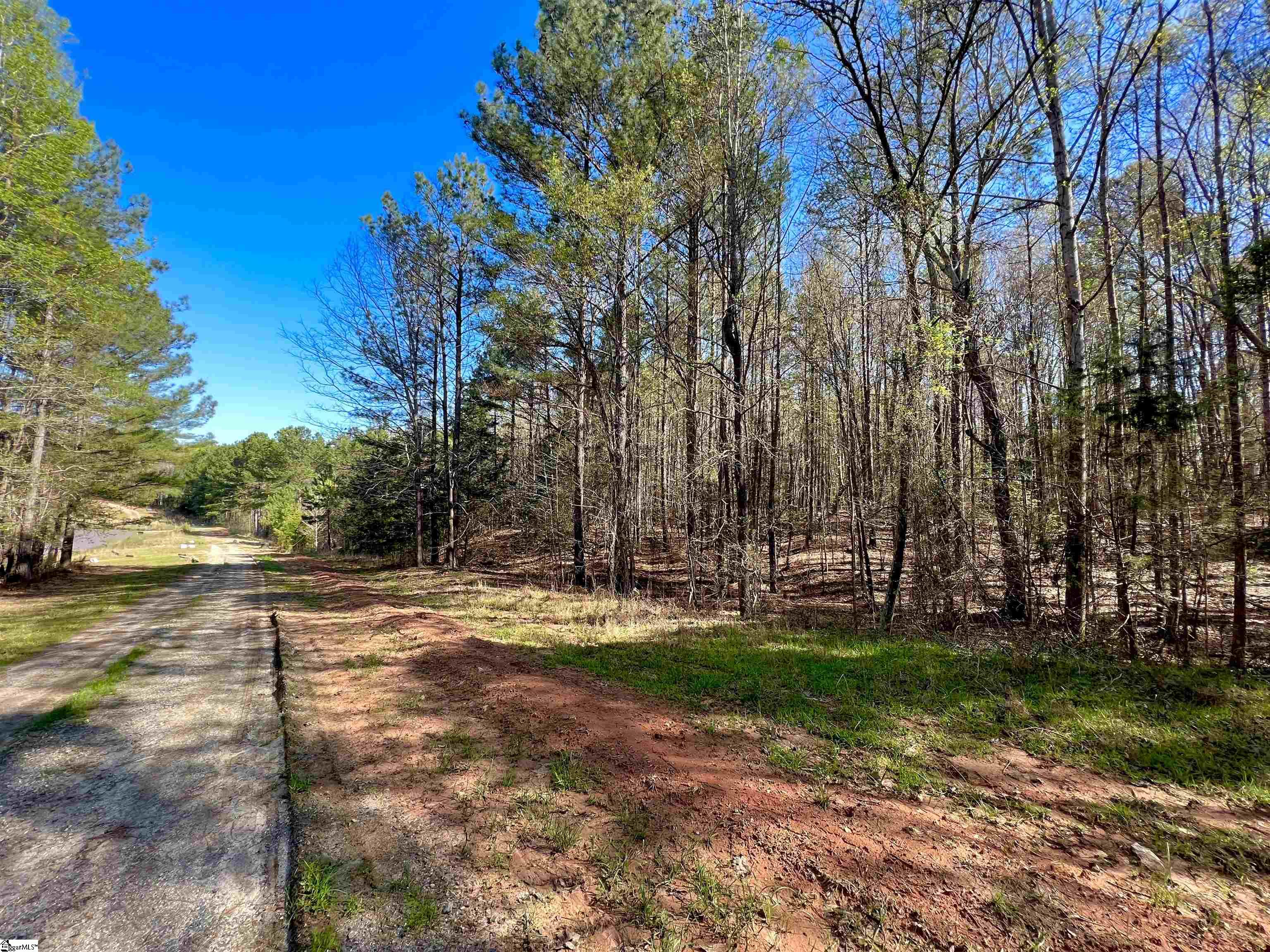 1765 Chumley Road, Unit LOT #4 Woodruff, SC 29388 - Photo 8 of 9