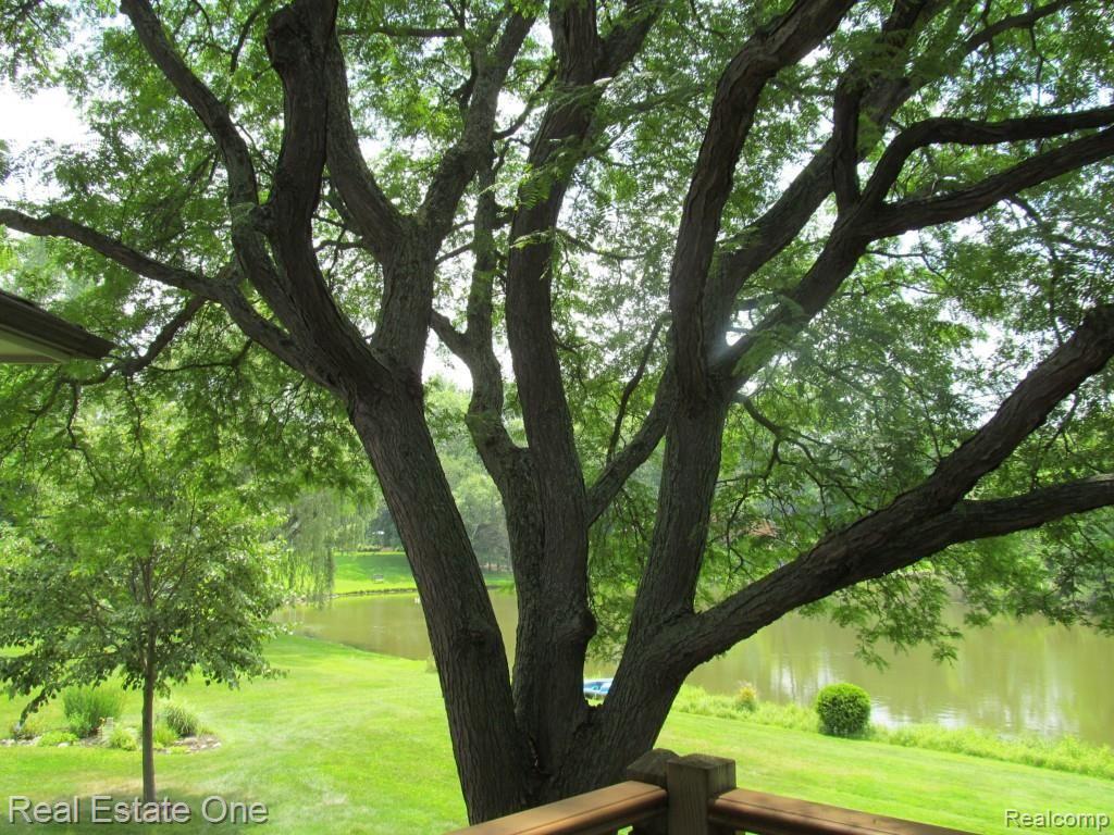 235 Shagbark Drive Rochester, MI 48309 - Photo 29 of 38 IMG_0579.jpg