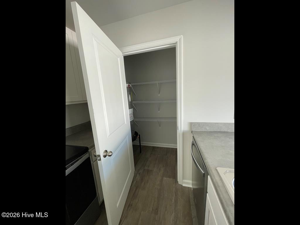 1025 Course Lane Holly Ridge, NC 28445 - Photo 6 of 19 Walk-In Kitchen Pantry