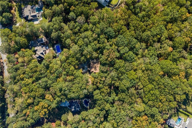 16218 Henderson Road Milton, GA 30004 - Photo 4 of 70 a view of a lush green forest with lots of trees