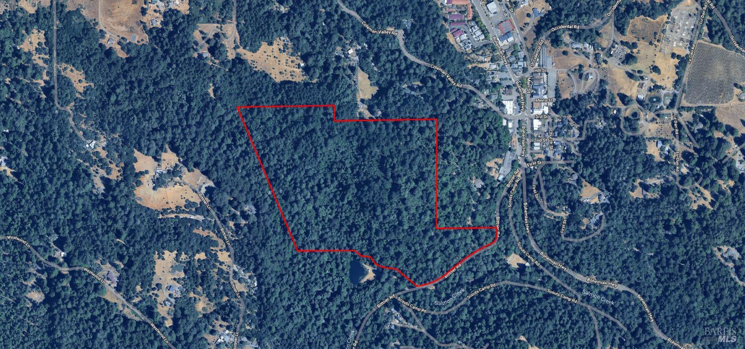 15100 Bittner Road Occidental, CA 95465 - Photo 1 of 1 a picture of tree