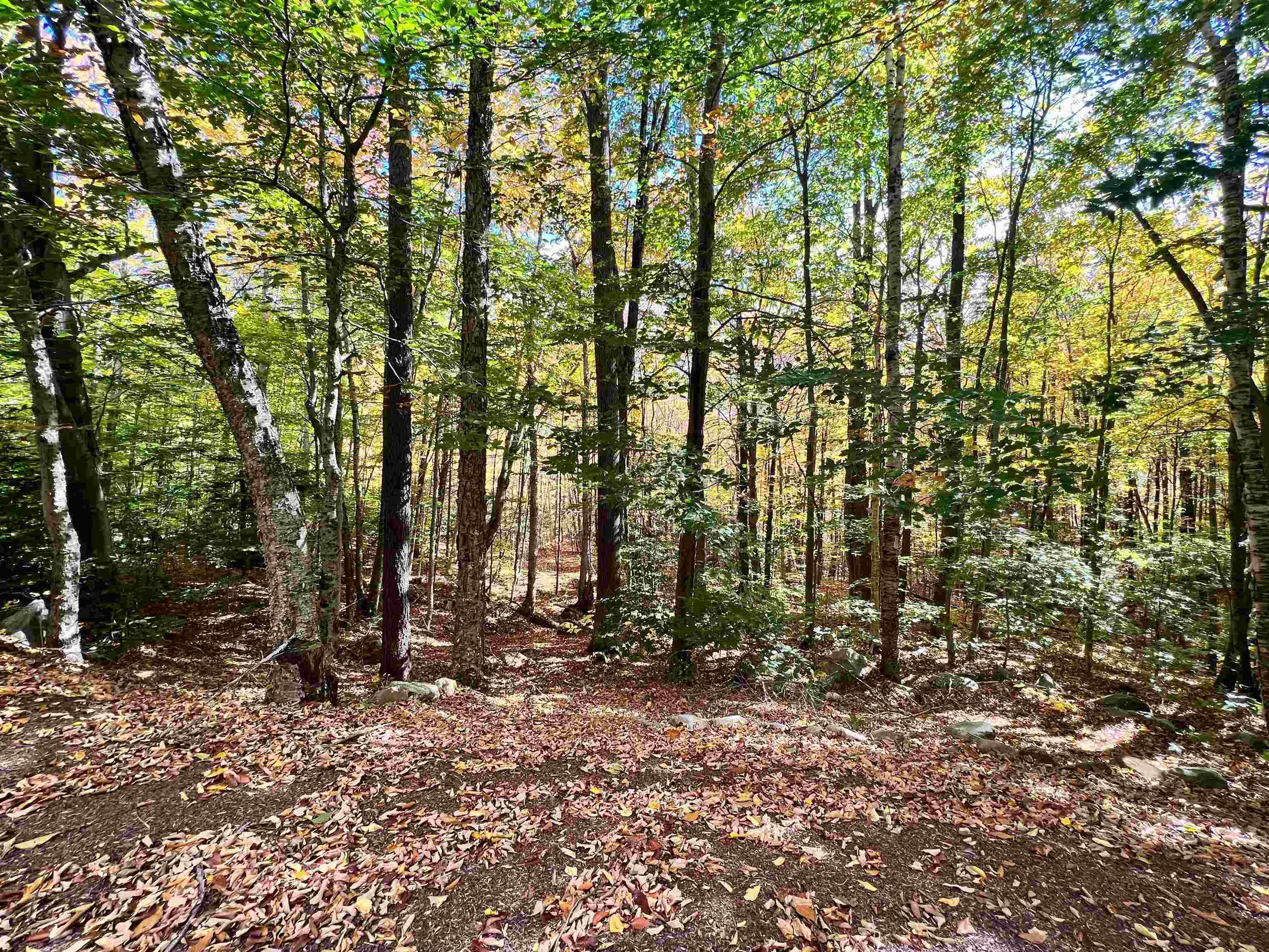 35 Silo Lane Grantham, NH 03753 - Photo 32 of 35