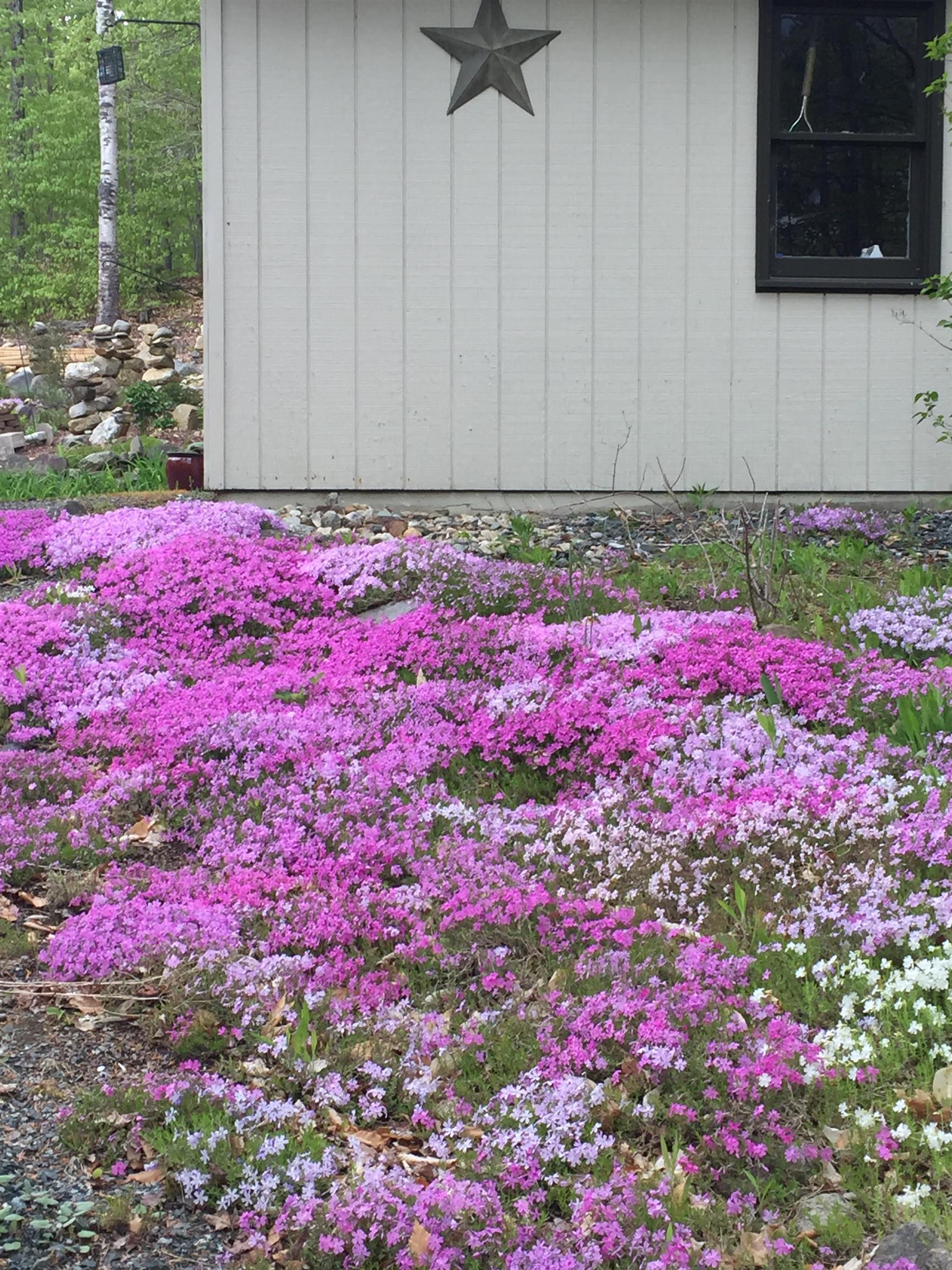 35 Silo Lane Grantham, NH 03753 - Photo 34 of 35