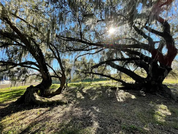 $3,100 | 9799 Winnington Street, Orlando, FL 32832