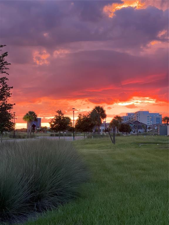 9799 Winnington Street Orlando, FL 32832 - Photo 74 of 78 a view of outdoor space and yard