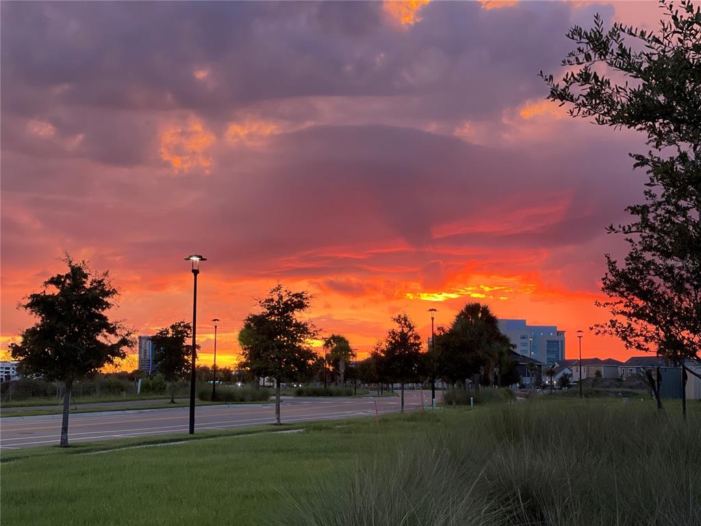 9799 Winnington Street Orlando, FL 32832 - Photo 77 of 78