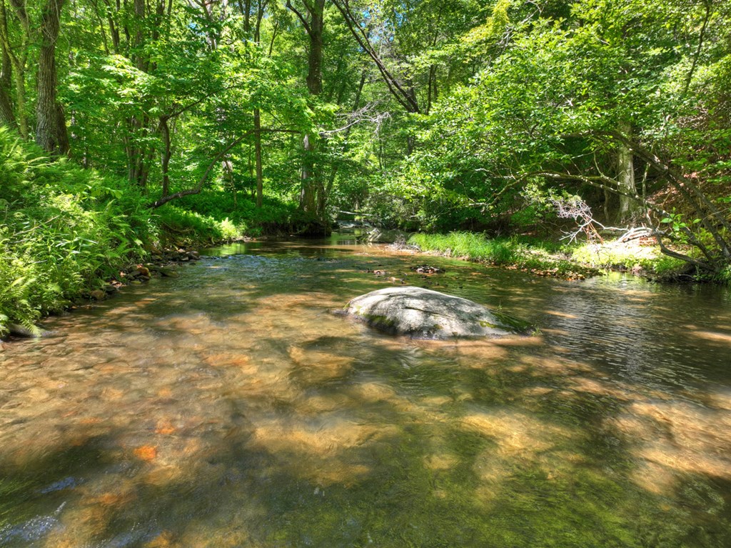 2628 Big Creek Road Cherry Log, GA 30522 - Photo 66 of 69