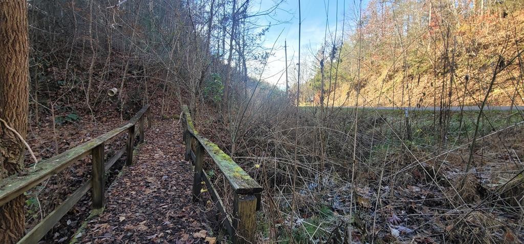 2 Wilhite Road Cosby, TN 37722 - Photo 2 of 24