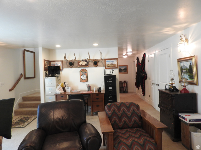 665 South 600 East Mount Pleasant, UT 84647 - Photo 20 of 31