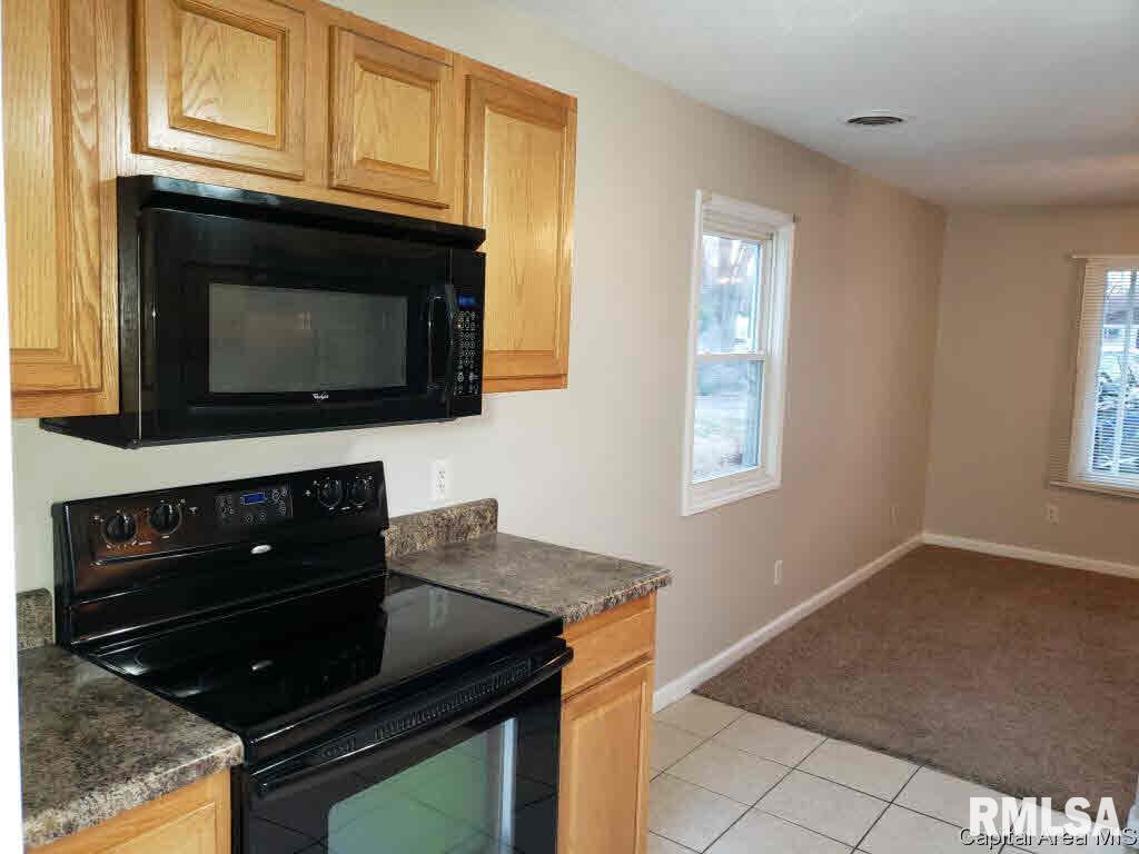 9 Goodwin Court Springfield, IL 62704 - Photo 7 of 11