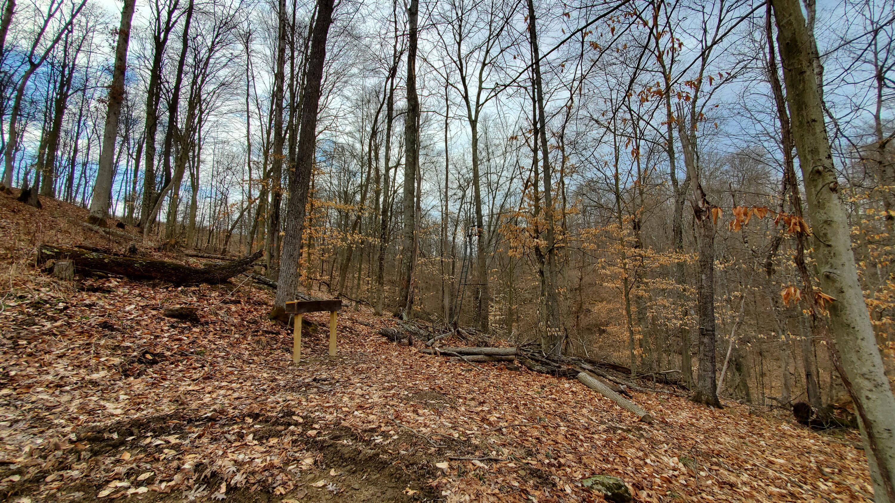 6870 Crane Run Road Cumberland, OH 43732 - Photo 42 of 49 20250226_125416