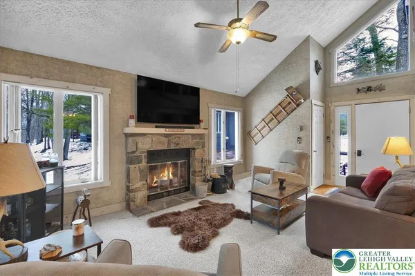 a living room with furniture a fireplace and a flat screen tv