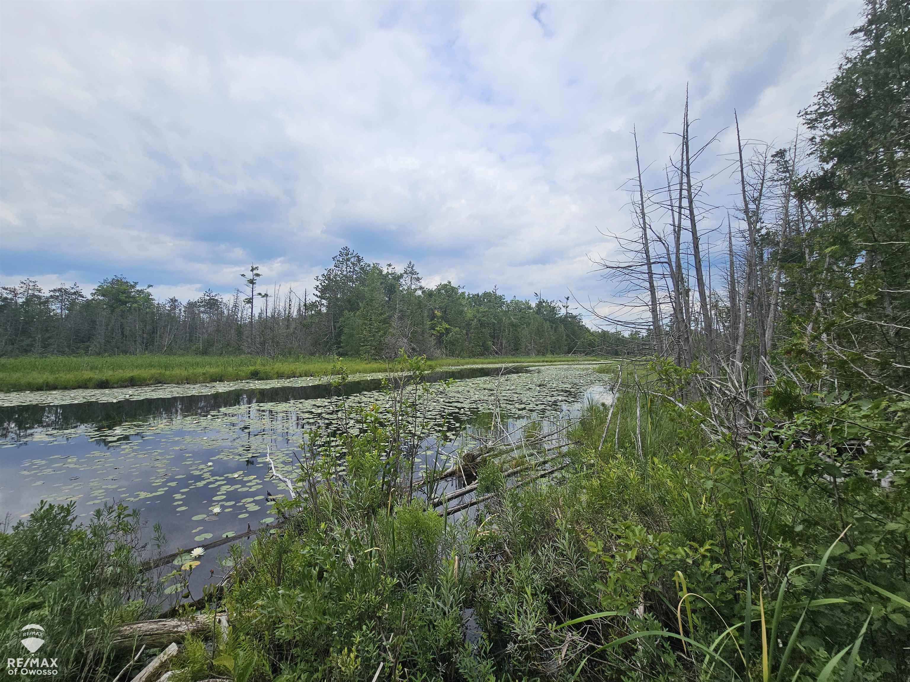 Spile Dam Road Millersburg, MI 49759 - Photo 14 of 16