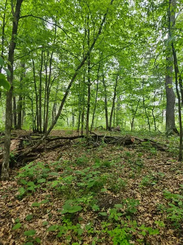 $89,900 | Parcel E Parcel E Rogue Way, Ironton, MN 56455