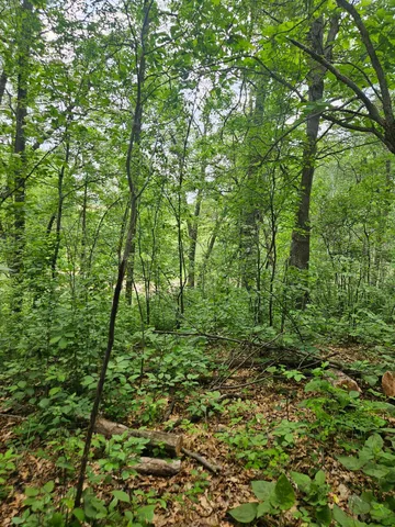 $89,900 | Parcel E Parcel E Rogue Way, Ironton, MN 56455