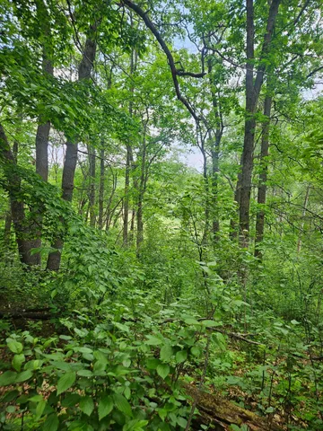 $89,900 | Parcel E Parcel E Rogue Way, Ironton, MN 56455