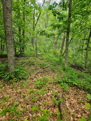 $89,900 | Parcel E Parcel E Rogue Way, Ironton, MN 56455