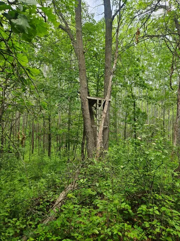 $89,900 | Parcel E Parcel E Rogue Way, Ironton, MN 56455