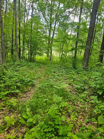 $89,900 | Parcel E Parcel E Rogue Way, Ironton, MN 56455