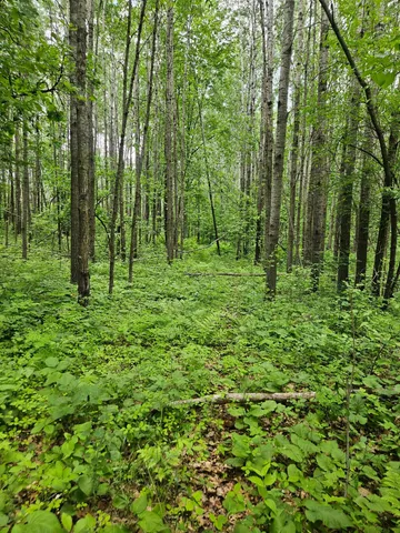 $89,900 | Parcel E Parcel E Rogue Way, Ironton, MN 56455