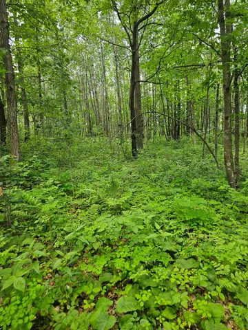 $89,900 | Parcel E Parcel E Rogue Way, Ironton, MN 56455