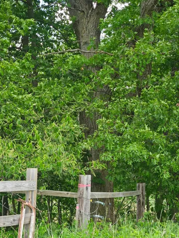 $89,900 | Parcel E Parcel E Rogue Way, Ironton, MN 56455