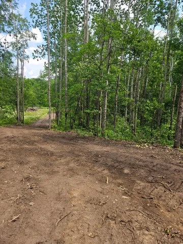 $89,900 | Parcel E Parcel E Rogue Way, Ironton, MN 56455