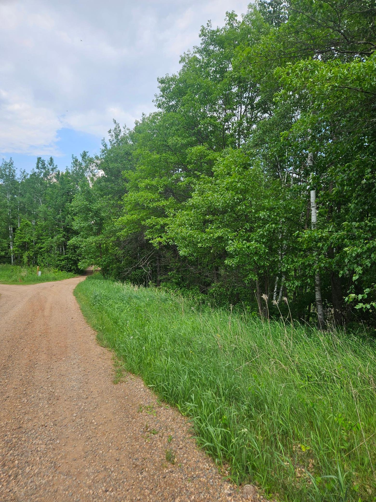 Parcel E Parcel E Rogue Way Ironton, MN 56455 - Photo 4 of 18