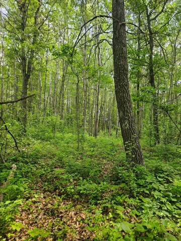 $89,900 | Parcel E Parcel E Rogue Way, Ironton, MN 56455